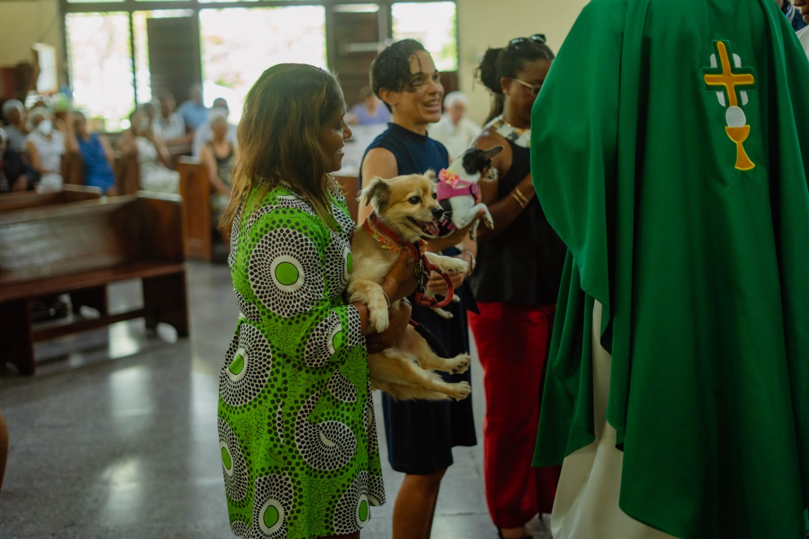 Veterinarians presenting their dogs for a blessing during the anniversary service