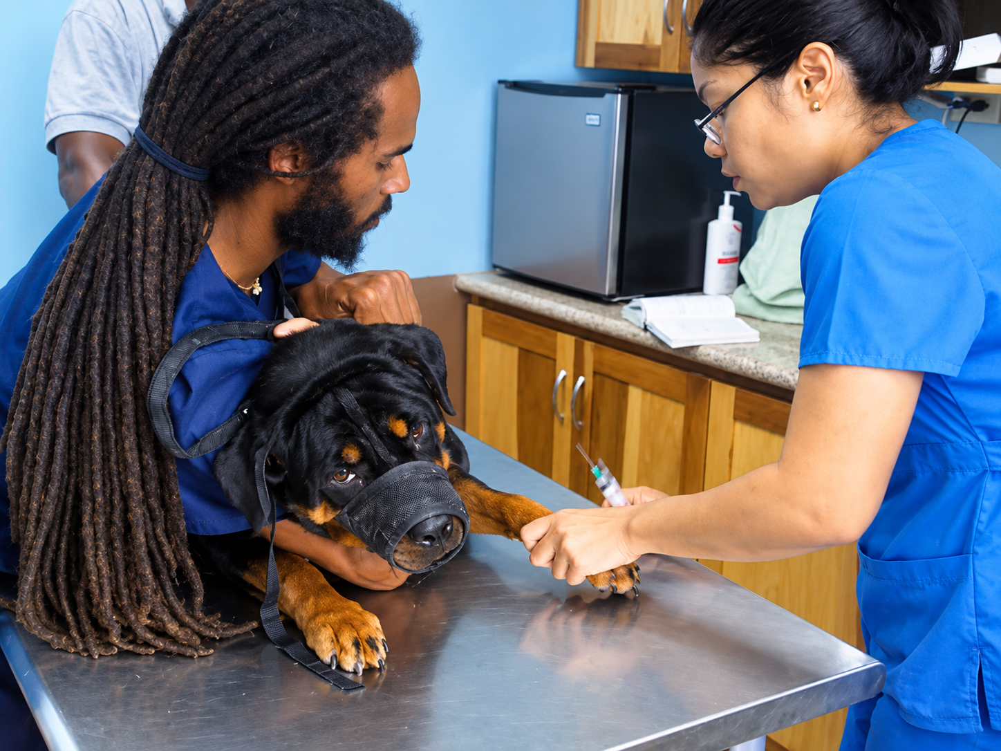 A veterinarian examines a dog in Jamaica