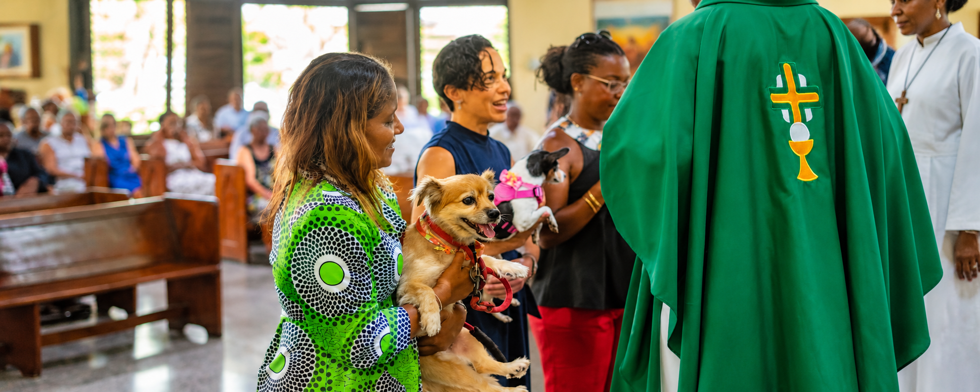 Blessing Our Animal Companions